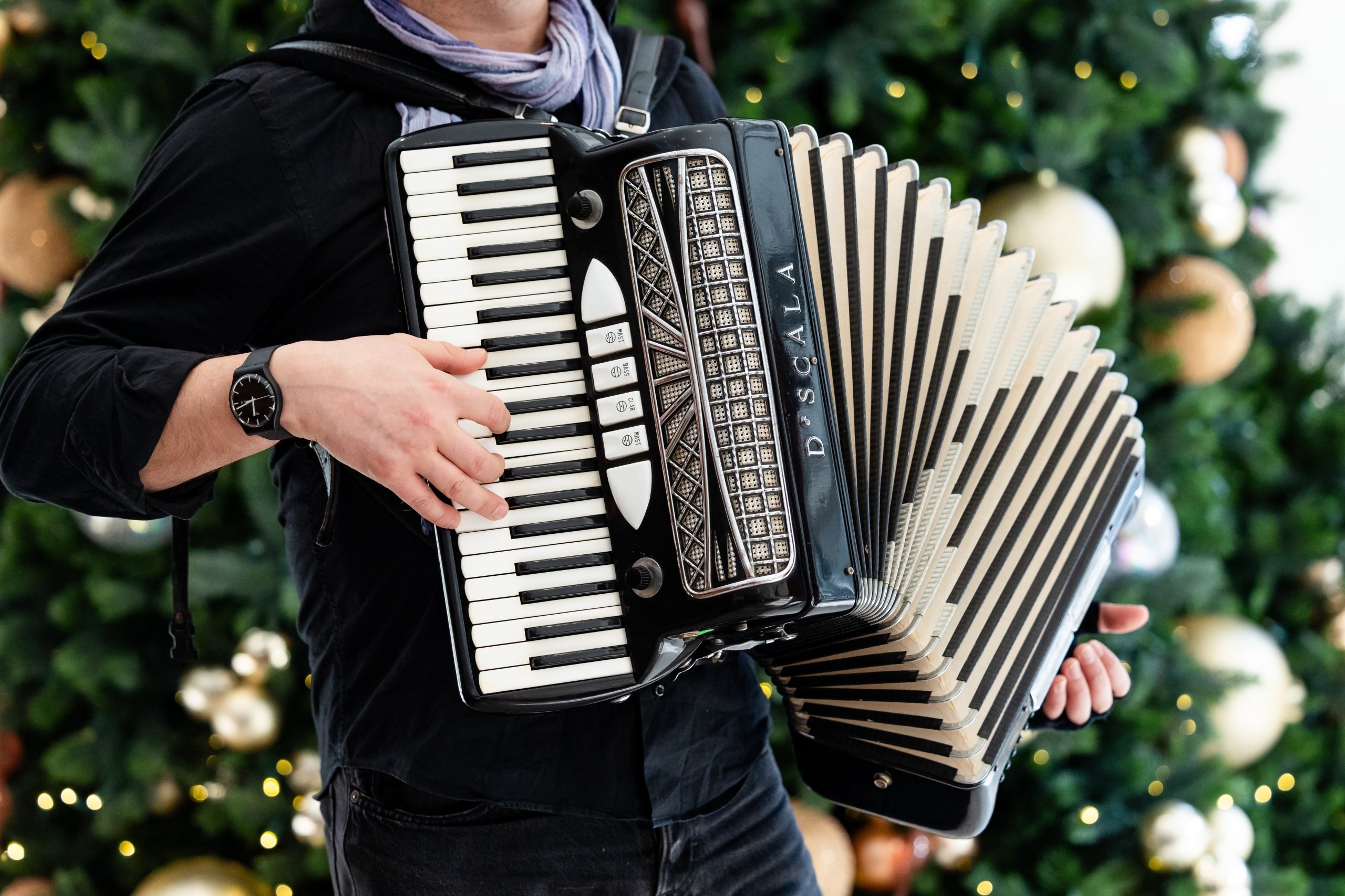 Person playing the accordian