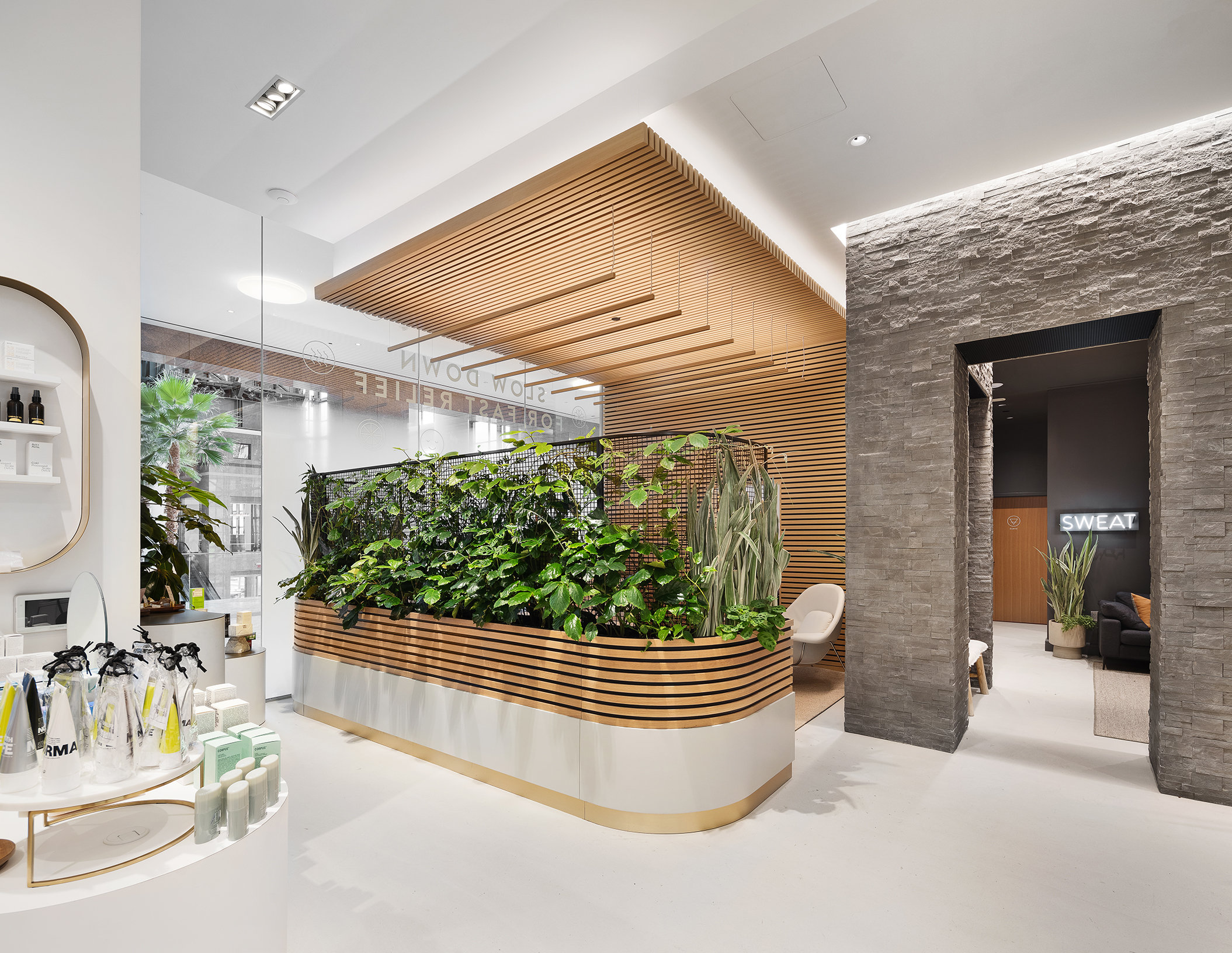 The modern, clean interior of a wellness center or spa, featuring a large central planter with lush greenery, light wood slatted walls, and a stone entryway leading to a room with a 