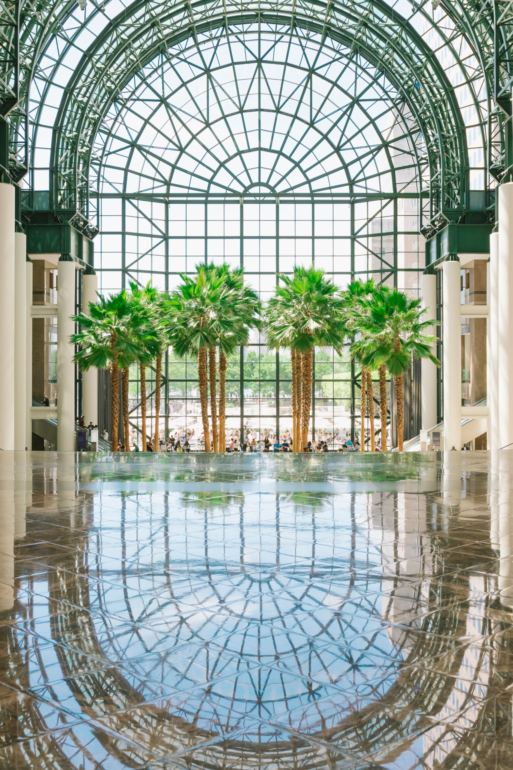 Bright, spacious atrium or conservatory with tall glass walls and lush green plants.