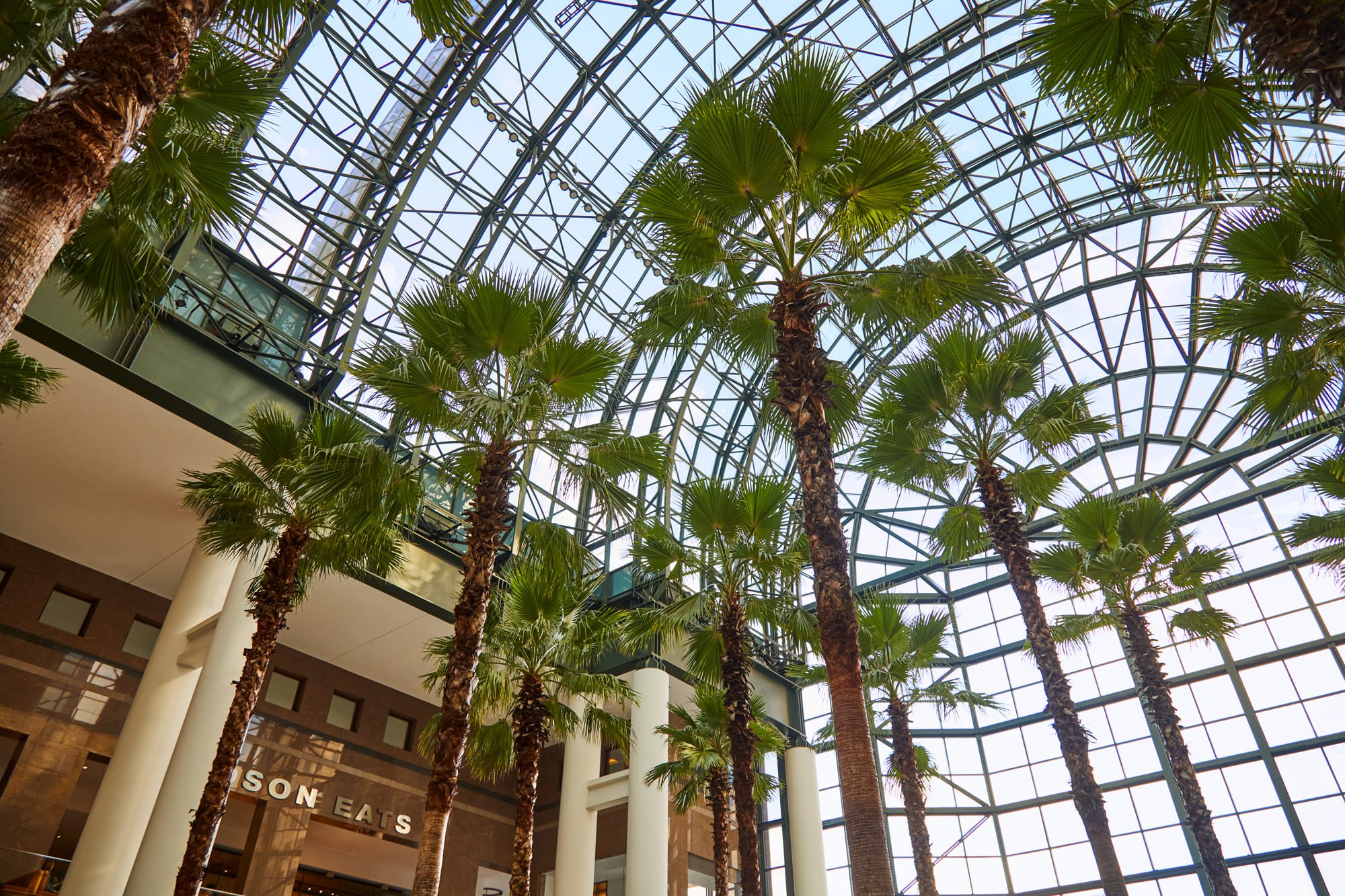 Upward view of tall palm trees and modern architectural columns inside a bright interior space.