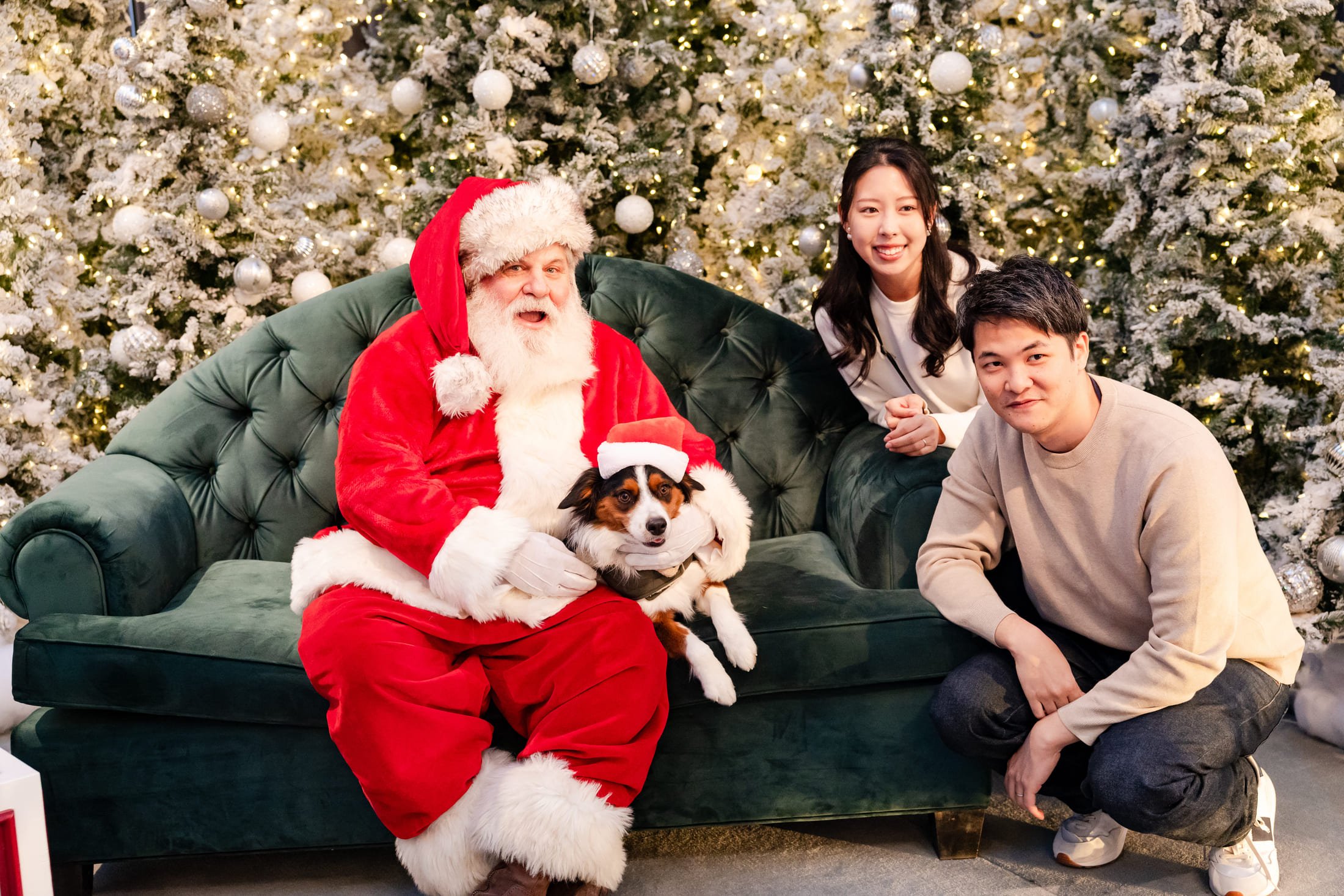 Group of young adults posing for a cheerful holiday photo, with one person dressed as Santa Claus holding a small dog.