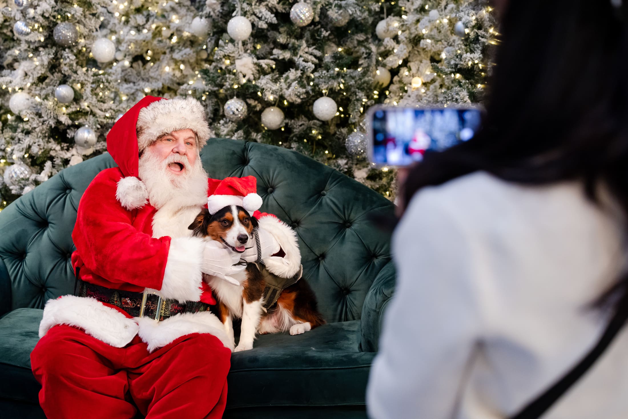 Man dressed as Santa Claus holding a small dog while posing for a picture taken by a cell phone.